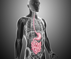 Cleanses Digestive Tract